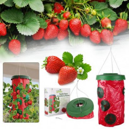 Плантатор для выращивания клубники Topsy Turvy (Топси Торви), выращивание клубники в домашних условиях круглый год