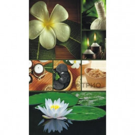 Настенный пленочный обогреватель картины Трио Лотос